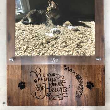 Memorial for my cat Lois