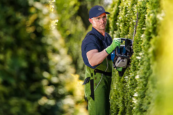 Choosing landscape partner preview