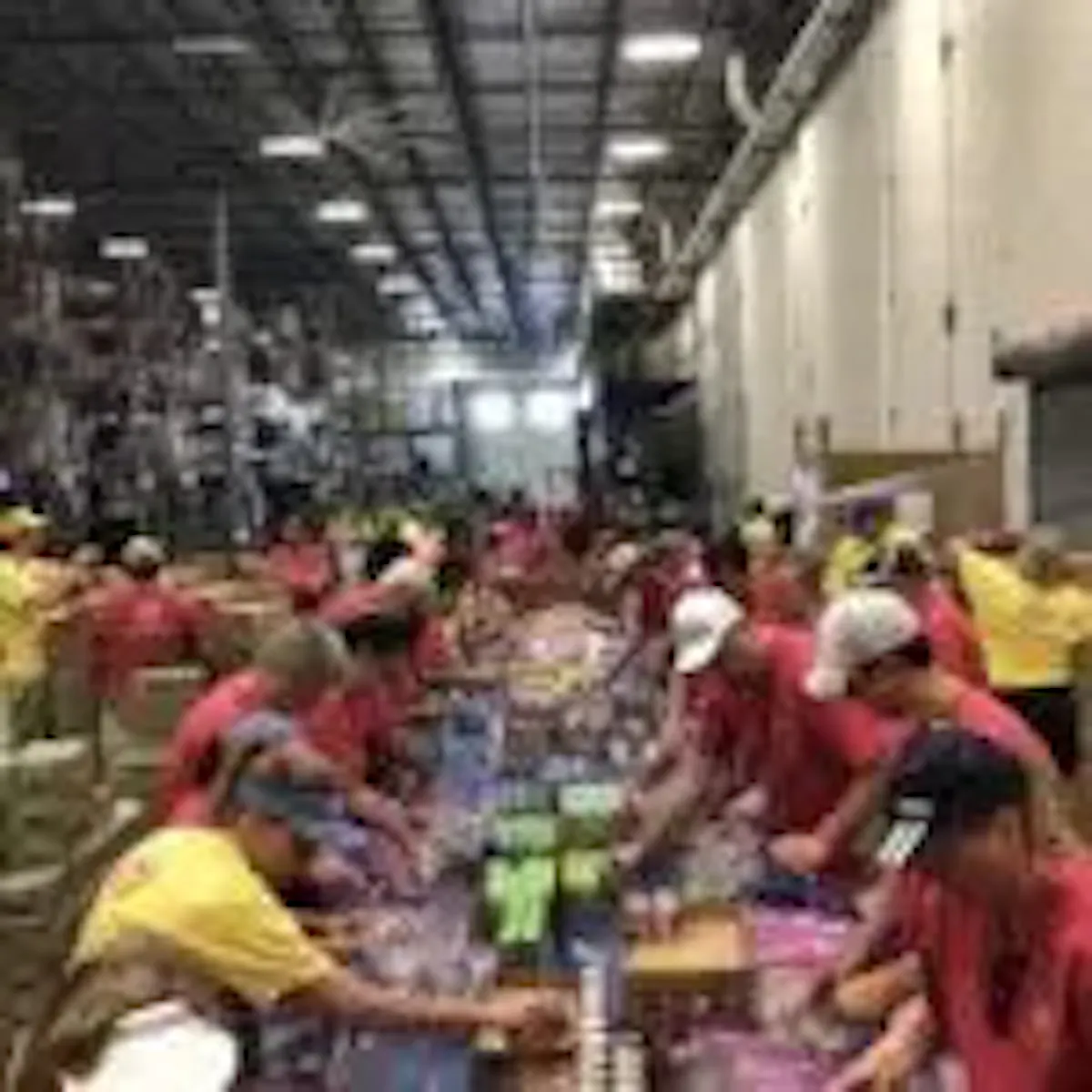 Dfgg3fguyaaquov 150x150