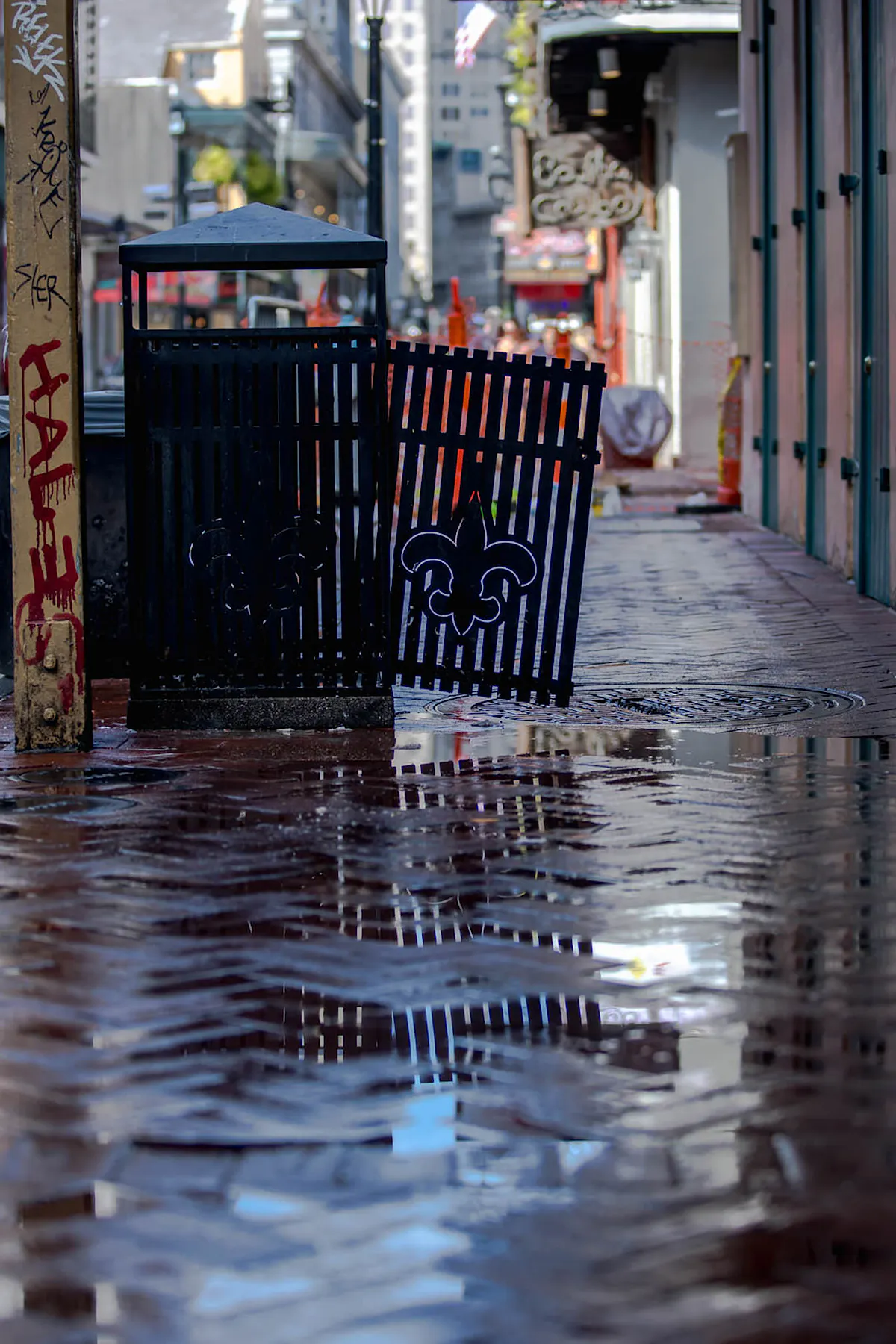 Results of KBS celaning after Mardi Gras