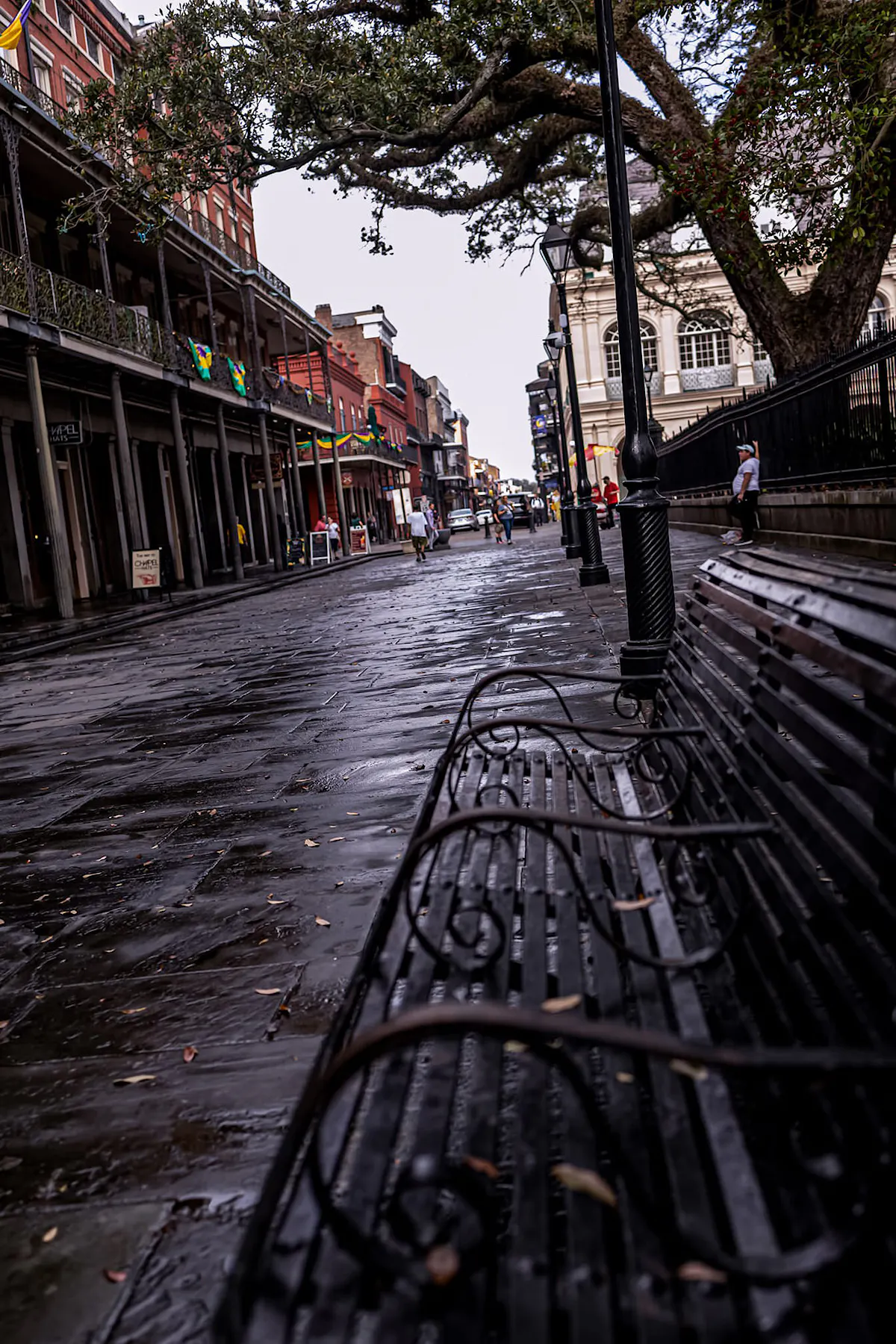 The result of KBS crew efforts after Mardi Gras